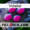 Vidalist 02